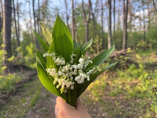 bouquet of lilies of the valley in hand. Woman holding bouquet of lilies of valley close up.