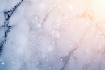 Delicate spiderweb on a marble surface with water droplets, soft light.