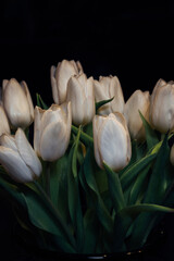 A bouquet of white tulips is arranged in a black vase