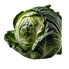 Fototapeta premium cabbage isolated on white background