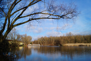 See, Baum, Ufer, Natur, Himmel, Landschaft, Winter