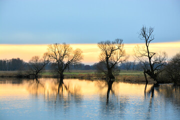 Fototapeta premium Fluss, Ufer, Natur, Himmel, Landschaft, Horizont