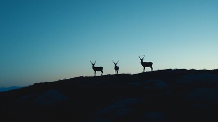 Majestic silhouettes: Against the backdrop of an ethereal dusk sky, three deer stand proudly atop a rugged ridge, their forms stark and graceful, capturing a moment of raw, untouched beauty.