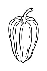 vector illustration of pepper