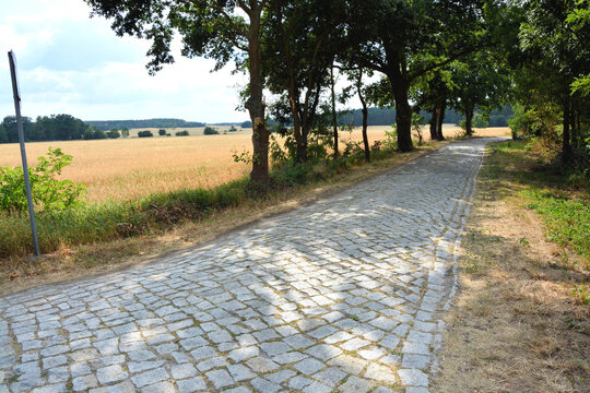 Stra&szlig;e. Baum, Feld, Natur, Landschaft, Sommer, Himmel