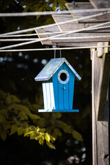 Blue wooden birdhouse hanging from a pergola in a sunlit garden, casting gentle shadows on the natural background and evoking a peaceful, handmade charm in a nature-friendly outdoor setting