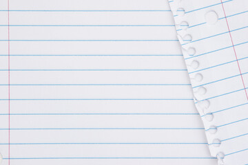 Ruled loose leaf paper background