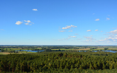 Fototapeta premium Wald, Blick von oben, Horizont, Himmel, Natur, Sommer