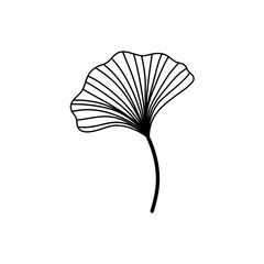 Ginkgo biloba leaves outline. Vector illustration