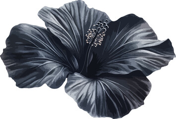 Close-Up of a Gray Hibiscus Flower