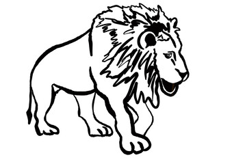 an illustration of a lion