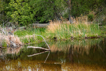 Kern River, South Fork, Image 3