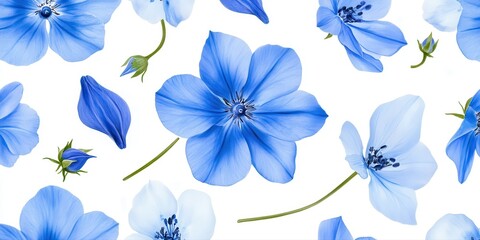Delicate, light blue flowers arranged in a seamless pattern on a white background.  Detailed, realistic blossoms, petals, and buds create a serene, floral design