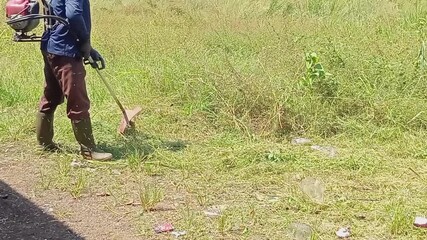 A middle-aged man cuts grass with a machine in a field - Bogor Indonesia, May 5, 2025 at 09:30 am