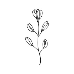 Delicate Flower Stem. Thin floral stem illustration with delicate buds and simple lines, ideal for greeting cards, stickers, or subtle feminine patterns.