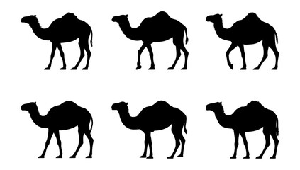 Camel silhouette vector desert animal illustration