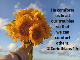 Bible verse quote - He comforts us in all our troubles so that we can comfort others. 2 Corinthians 1:4 on background of person holding sunflower bouquet against bright sky background. Christianity.