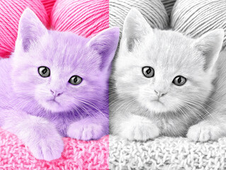 Whimsical Kitten Art: Pastel Yarn Balls & Monochrome Textures