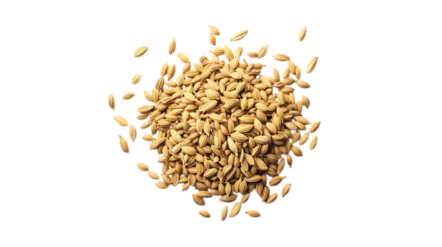 High-Texture Fennel Seeds Centered, Yellowish Tones, Clean and Crisp Background