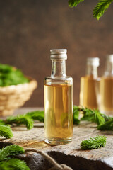 Homemade herbal syrup made with young raw spruce tips collected in spring and brown sugar