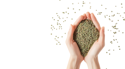 A handful of lentils (green) centered against a pure white background, clean texture, soft natural shadows, studio lighting
