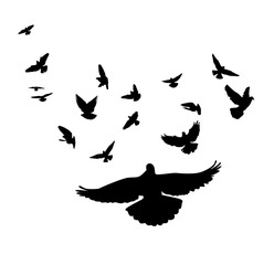 Flying birds silhouettes on white background. Vector illustration. isolated bird flying. tattoo design
