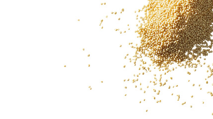 A scattering of millet grains on a clean white background, detailed textures