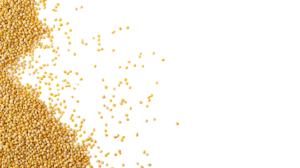 Scattering of Millet Grains on Clean White Background, Detailed Texture, Bright Lighting