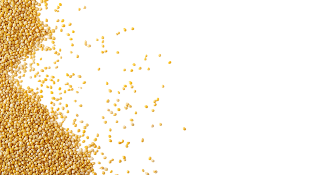 Scattering of Millet Grains on Clean White Background, Detailed Texture, Bright Lighting