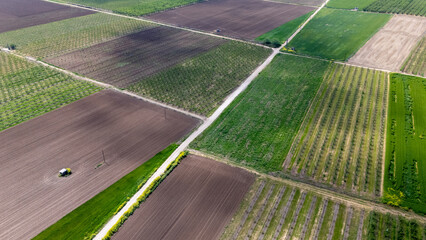 Greenery, fields, road drone view