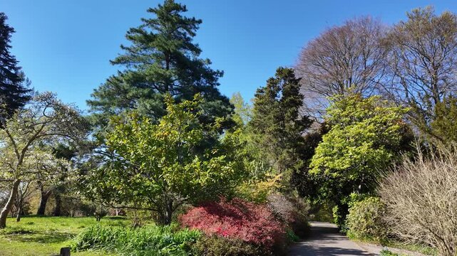 Ampfield Hampshire England UK.  23.04. 2025. Video. Landscape springtime view from a  moving golfcart in Sir Harold Hillier gardens near Romsey Hampshire UK.