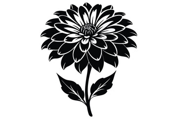 Monochrome dahlia flower showcases striking contrast with its delicate petals and elegant leaves