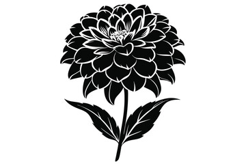 Monochrome dahlia flower showcases intricate floral layers with stem and detailed leaves