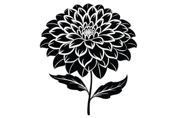 Black dahlia with intricate petals stands elegantly with two leaves in bloom