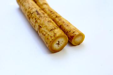 Fresh burdock roots or gobo roots