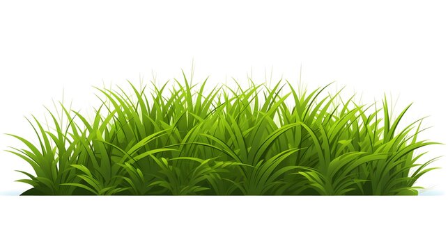 Detailed Bermuda Grass Flat Vector Illustration for Landscape Designs on White Background