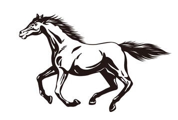 Vector Running Horse Monochrome Illustration Isolated On A White Background.