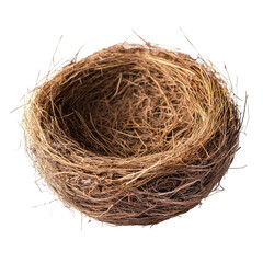 Empty bird's nest.  A shallow, round nest, crafted from straw-like materials