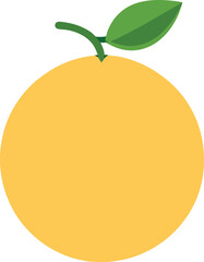 Galia melon vector illustration on transparent background 