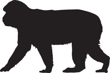 Barbary Macaque Silhouette Vector Illustration