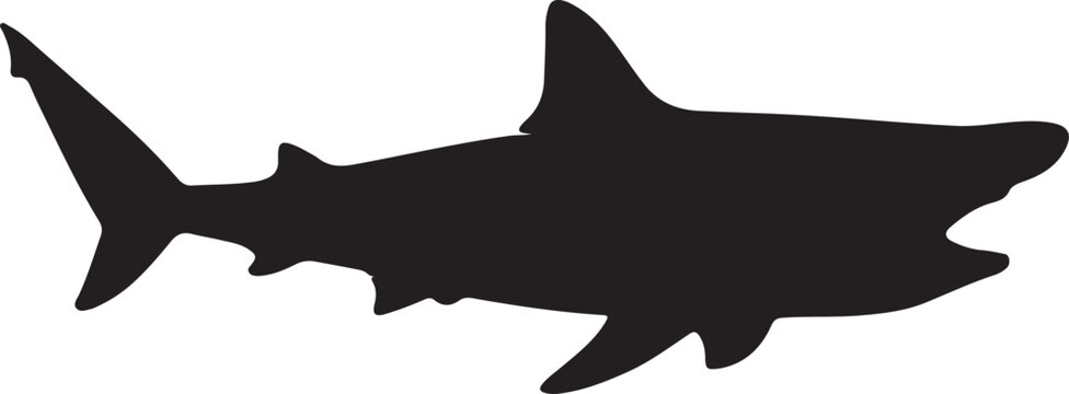 Basking Shark Silhouette Vector Illustration