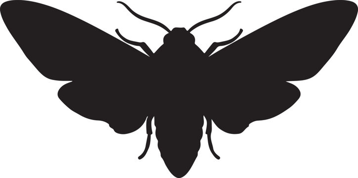 Death's-head Hawkmoth Silhouette Vector Illustration