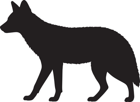 Dhole Silhouette Vector Illustration