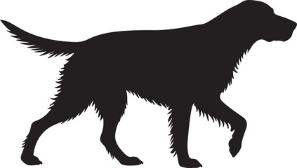 German Longhaired dog vector silhouette on white background