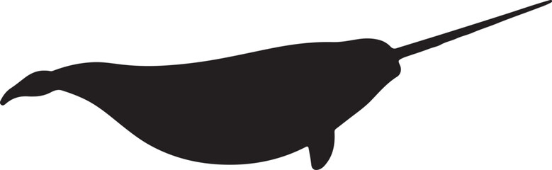 Giant Tusked Narwhal vector silhouette on white background © Digital Dreams Studi