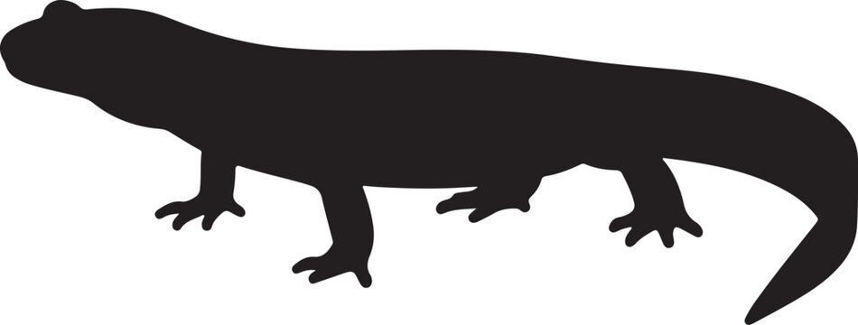 Giant Salamander vector silhouette on white background