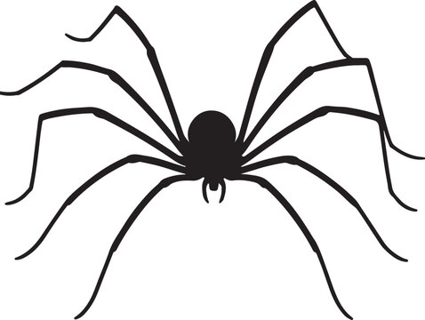 Harvestman spider vector silhouette on white background