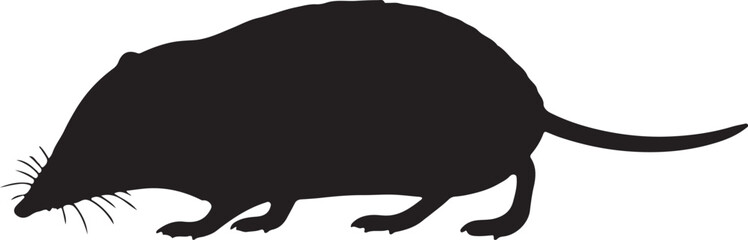 Japanese Water Shrew vector silhouette on white background