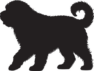 Newfypoo dog vector silhouette on white background
