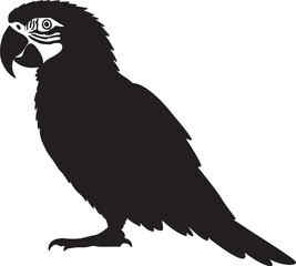 Parrot vector silhouette on white background